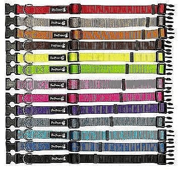 קולר קליפס לכלבים מידה M רוחב 20 מ"מ מגוון צבעים