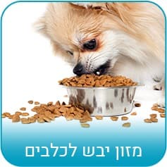 כלבים